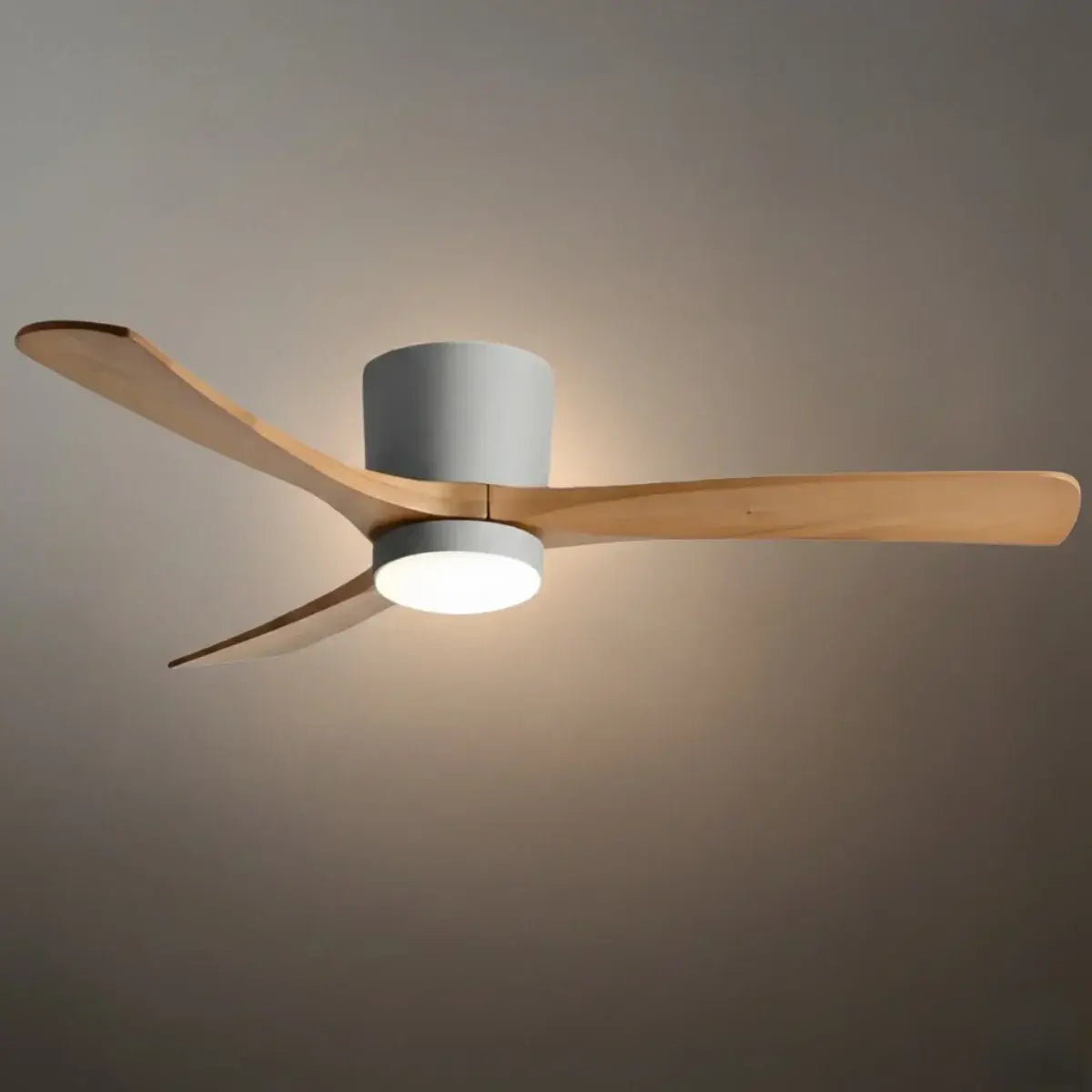 Lunara Nordic Ceiling Fan Light